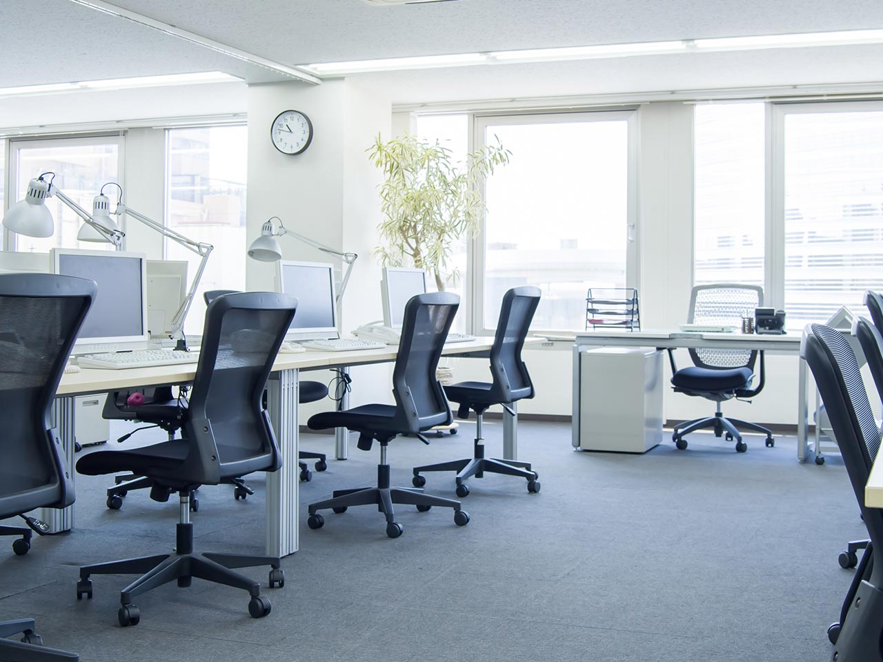 歴史と実績 - 合資会社INABA