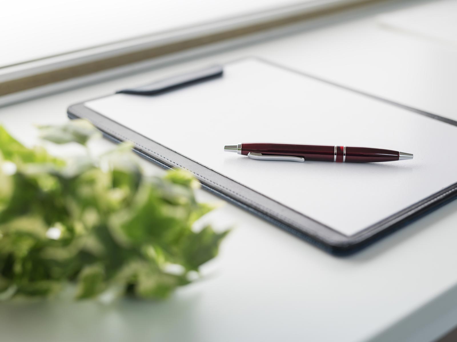 耳つぼダイエット - salon KOHARUBIYORI