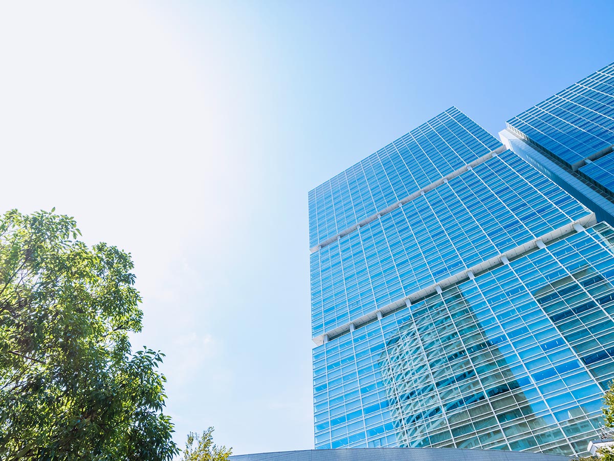 TOP - チームダックス株式会社