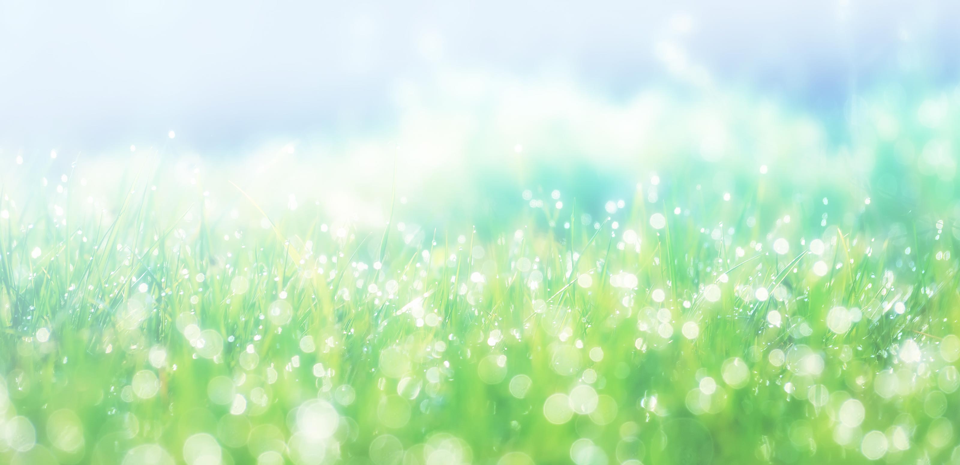 プラズマ還元電子 - 銀の星セラピータイム合同会社