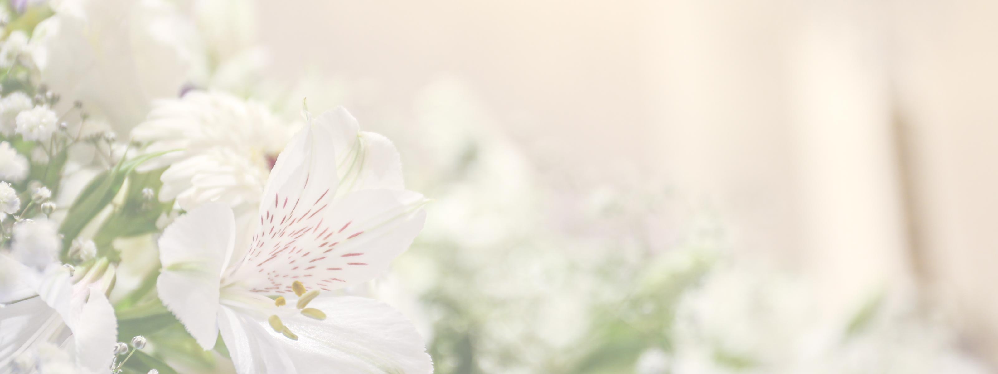 家族に寄り添う葬儀 - 東京フューネラル