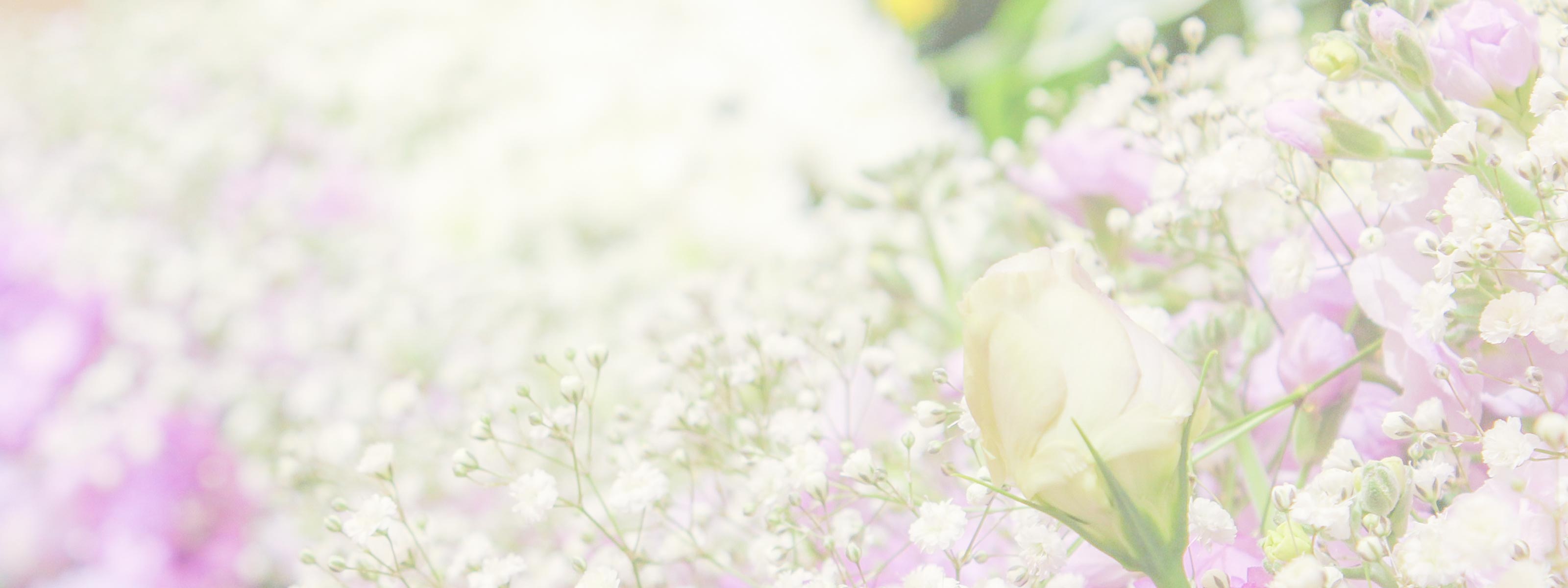 家族に寄り添う葬儀 - 東京フューネラル