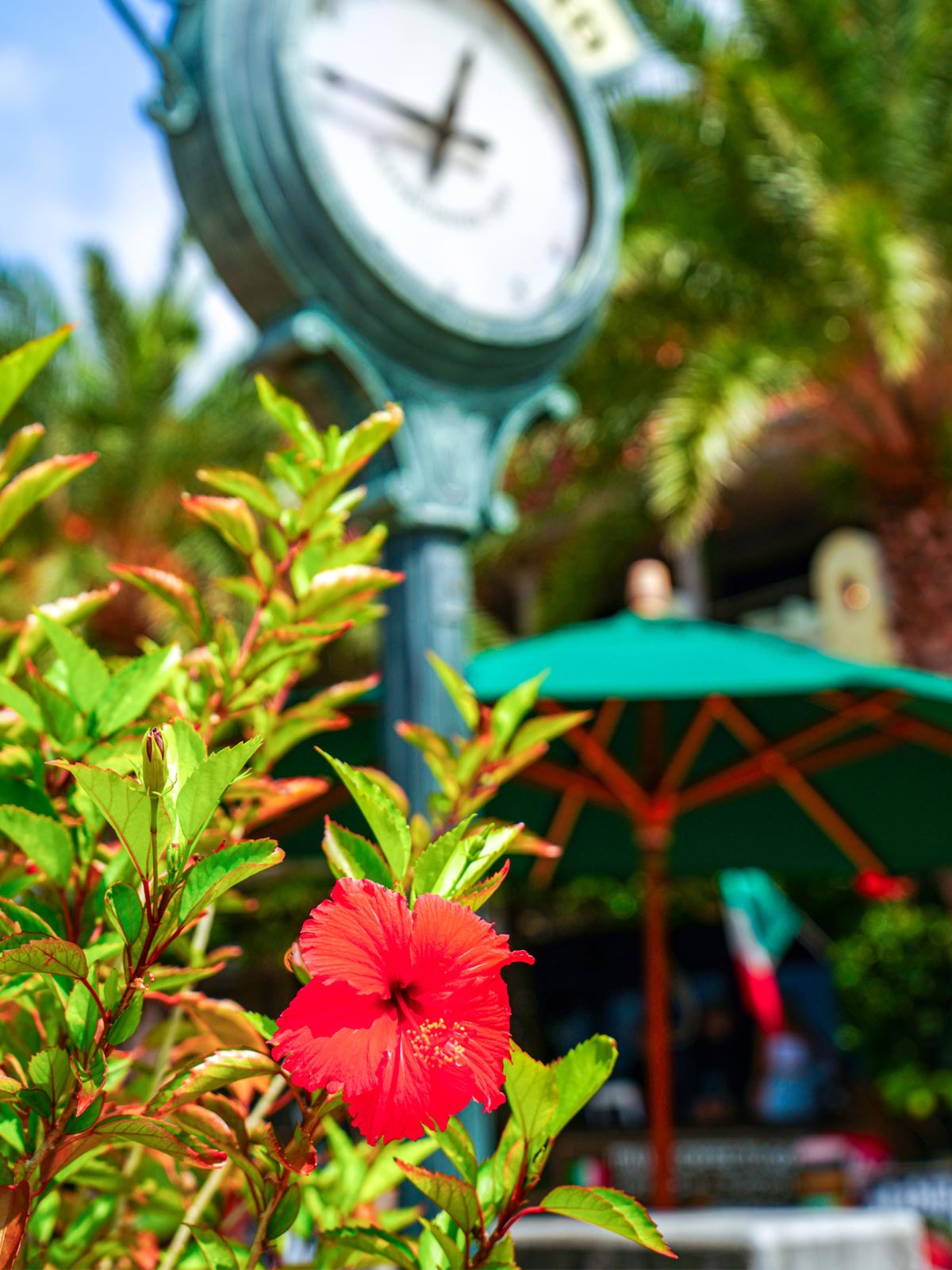 民泊 - Sprout Design