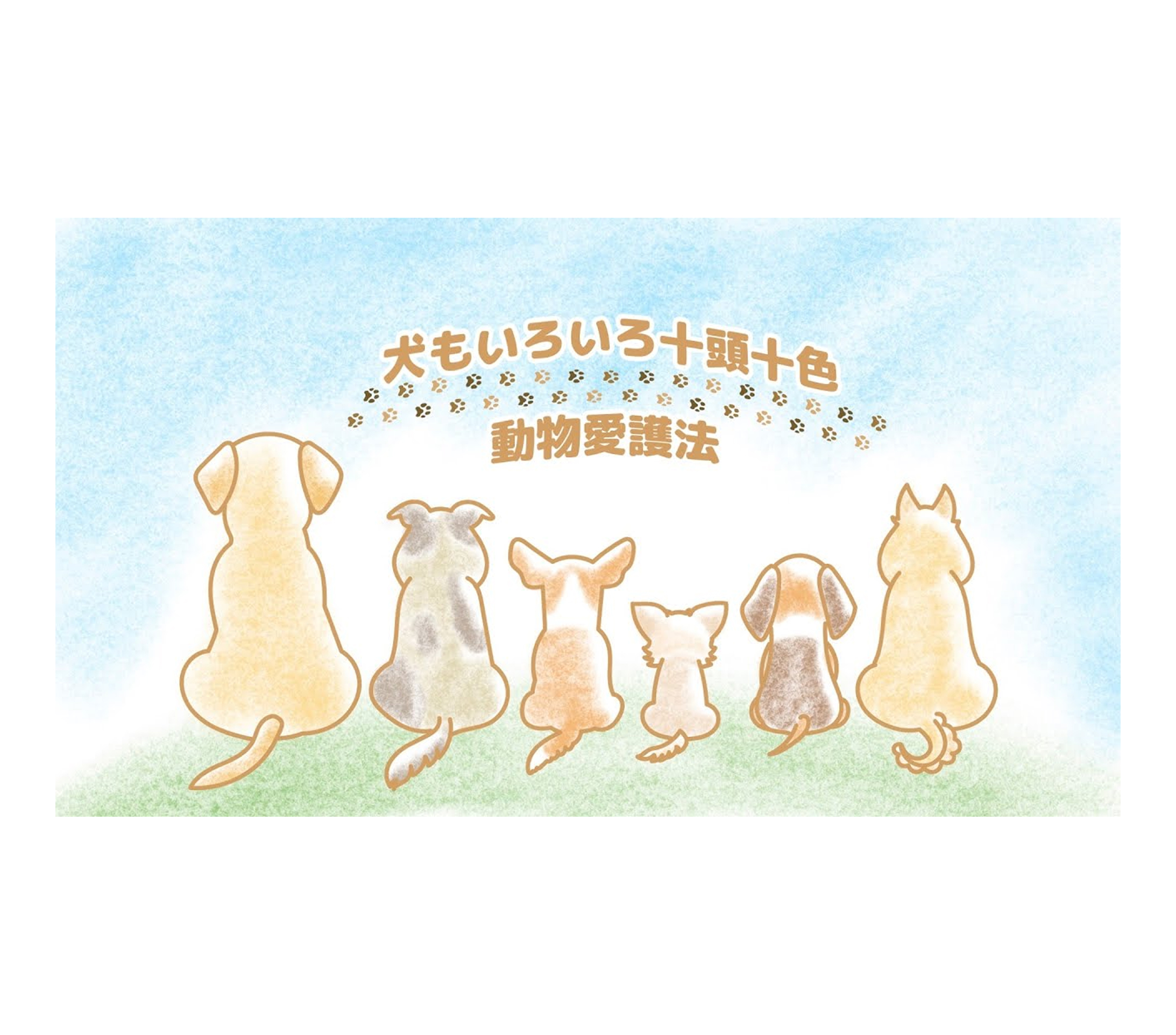 アニメーション to B - White board