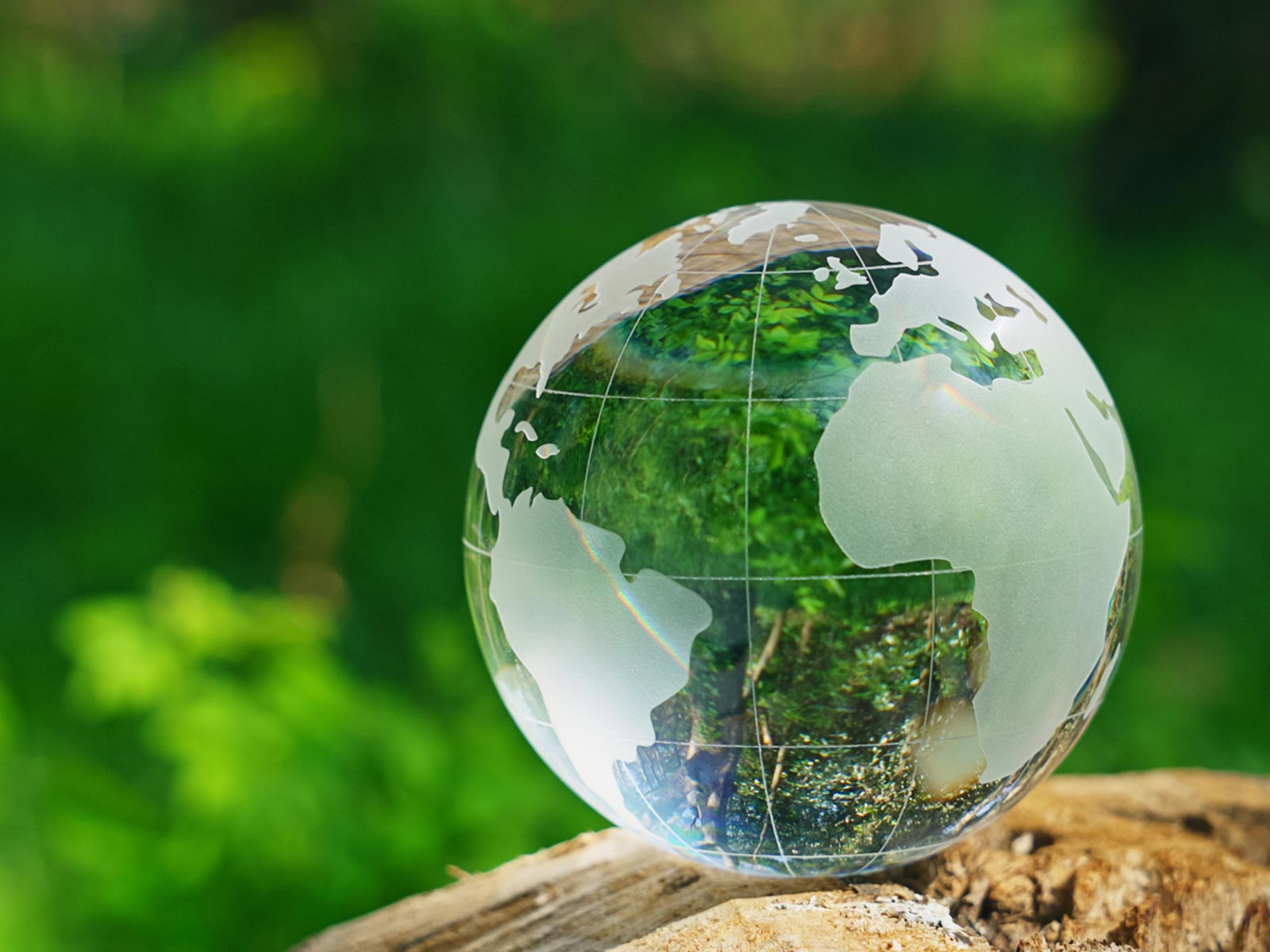 当社について - 株式会社グレイスターエナジー