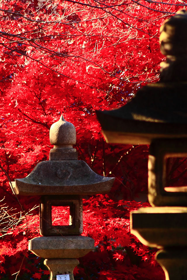 永代供養 - 高野山真言宗　薬王寺
