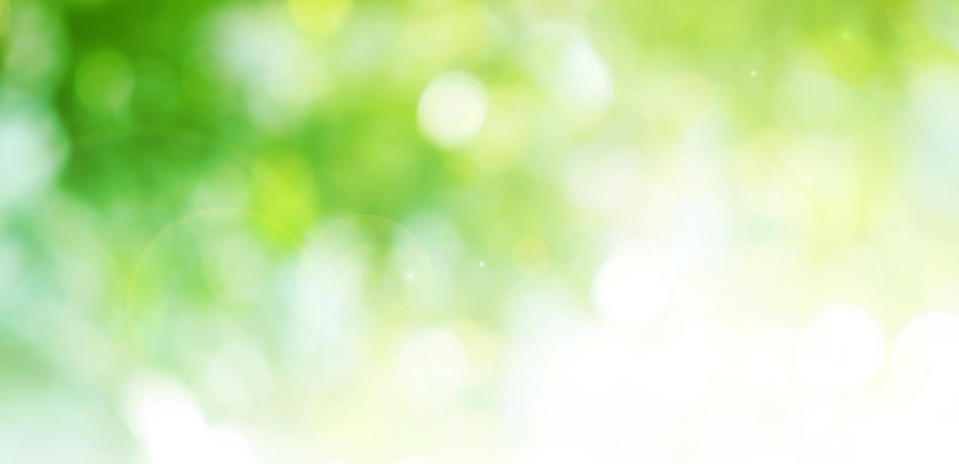 永代供養 - 高野山真言宗　薬王寺