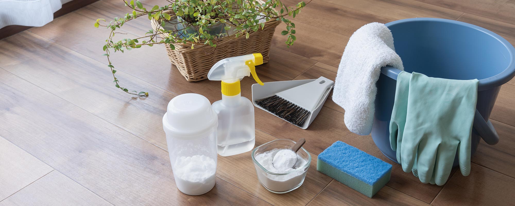 会社情報 - クリーンライフデザイン