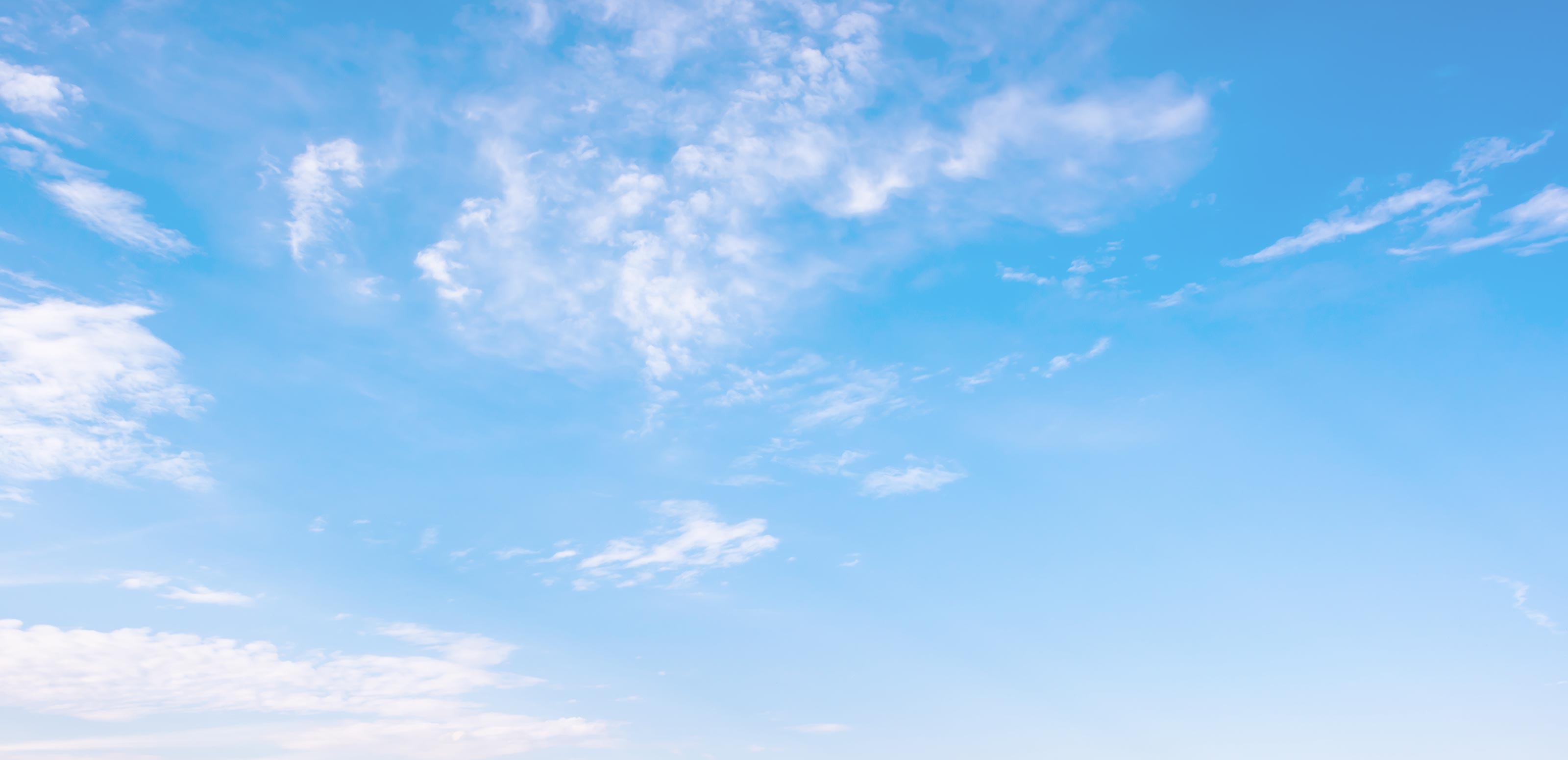 Company - 株式会社アベ建装工業