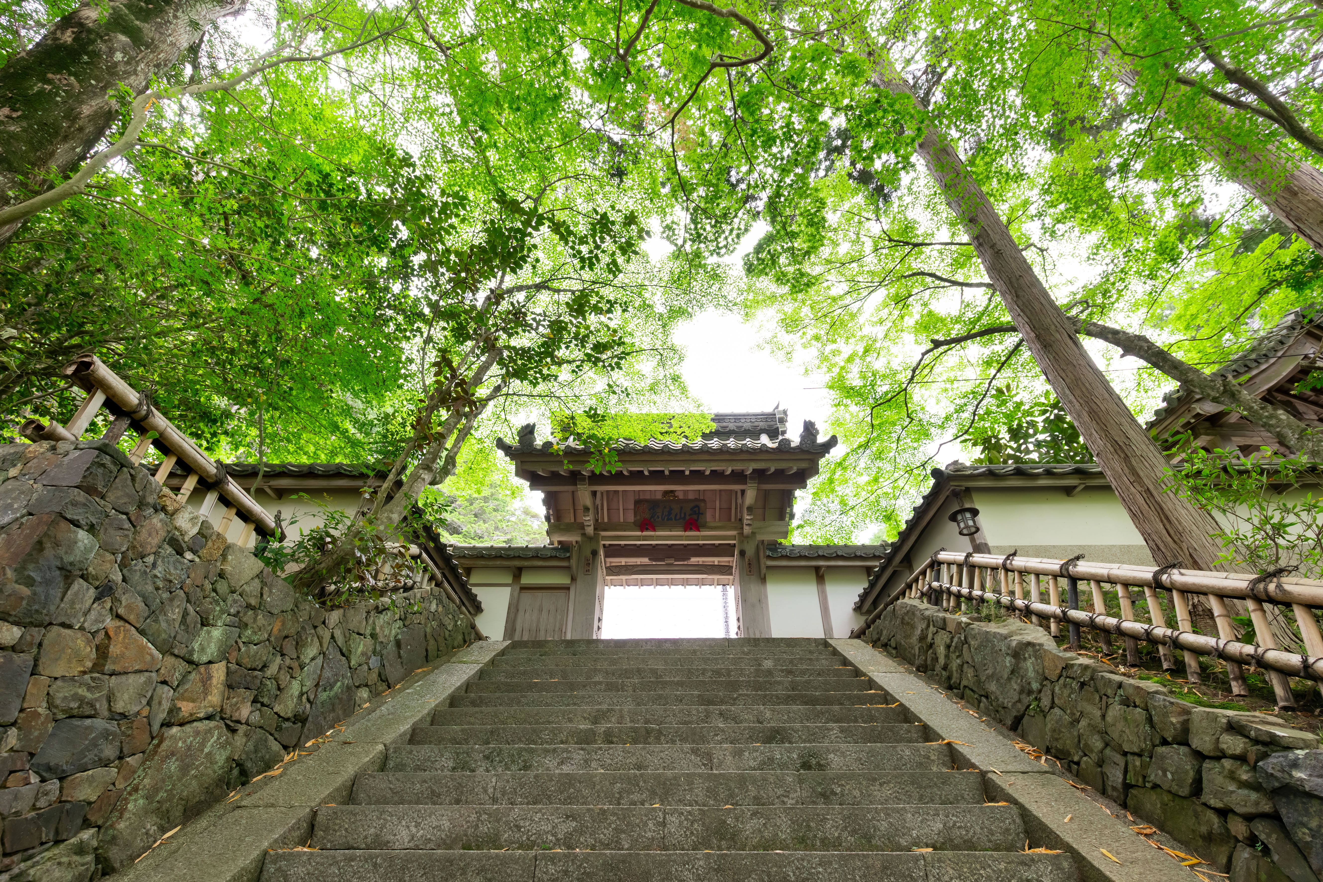 仏教寺院 - 宗教法人苗秀寺