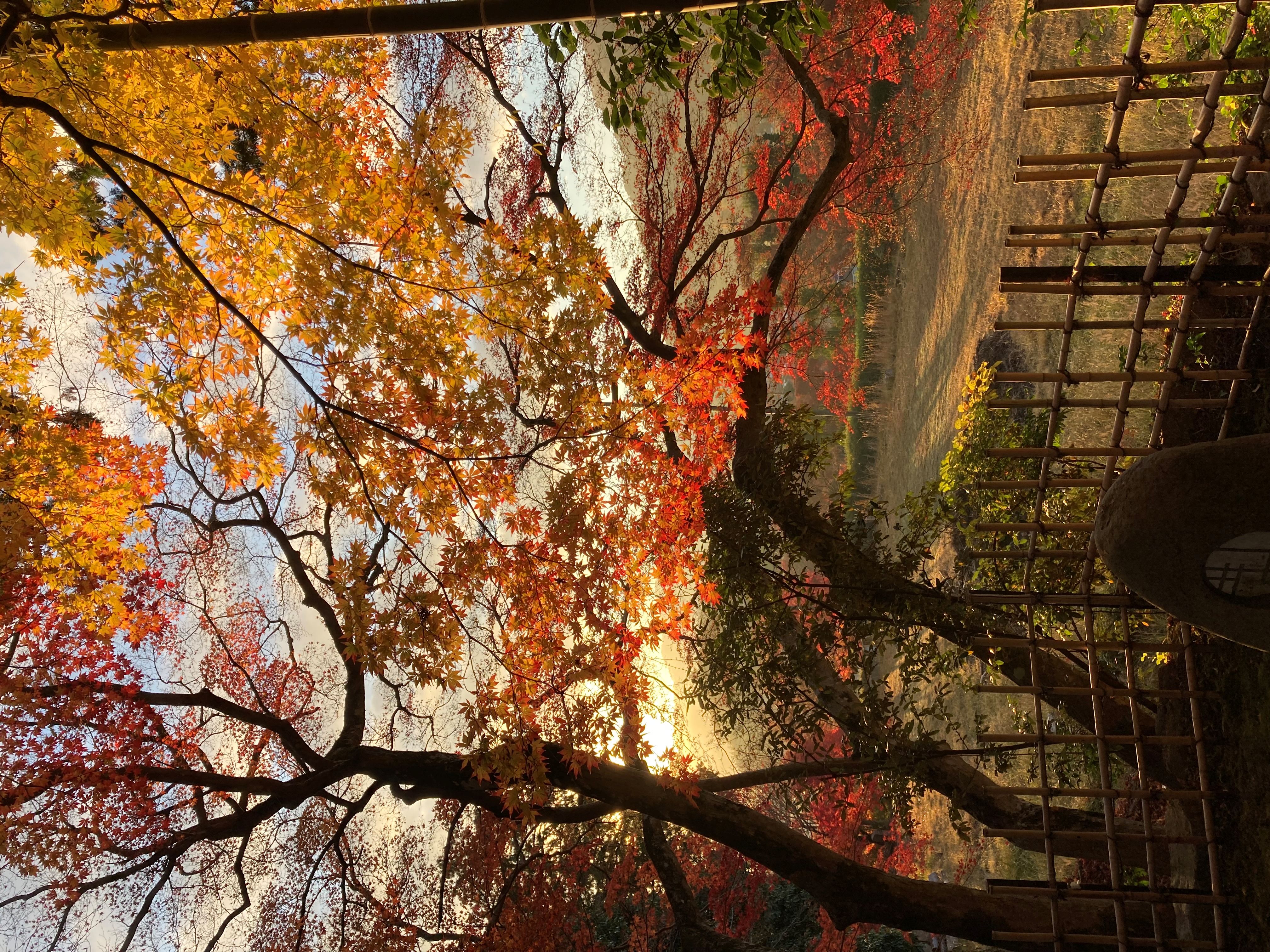 仏教寺院 - 宗教法人苗秀寺