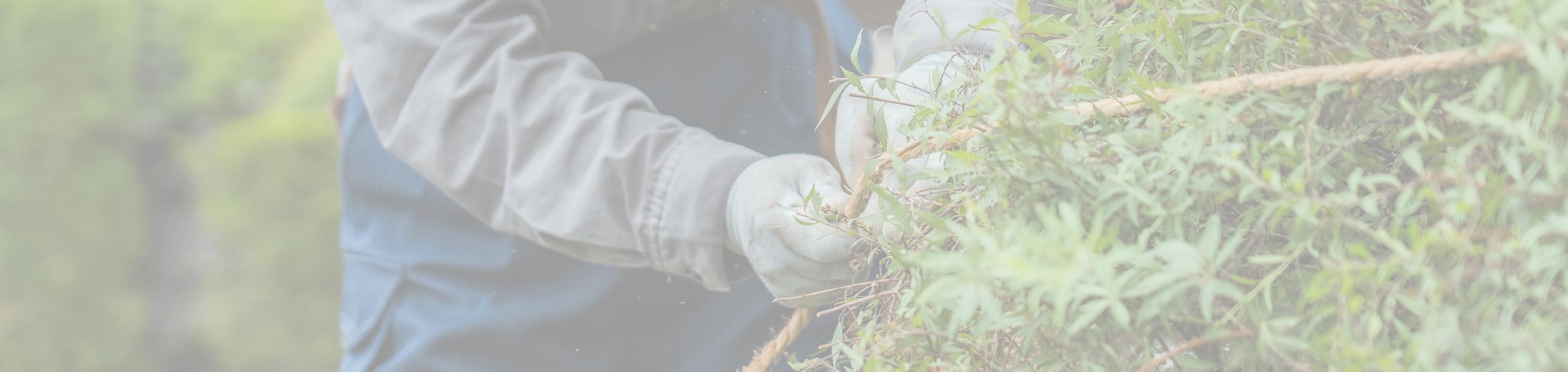 会社概要 - 青木造園