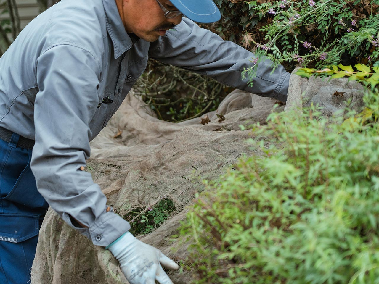 サービス紹介 - 青木造園
