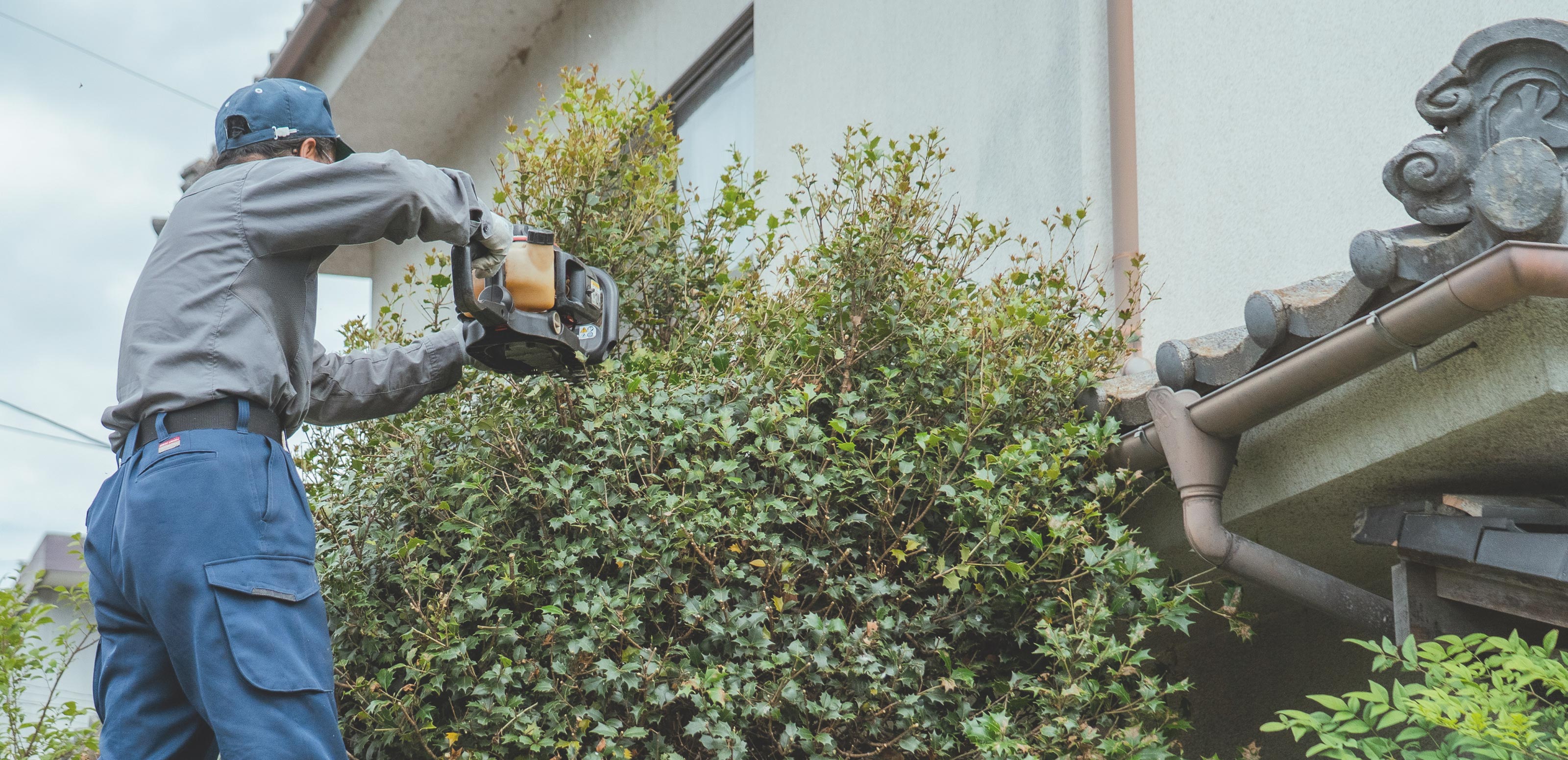 サービス紹介 - 青木造園