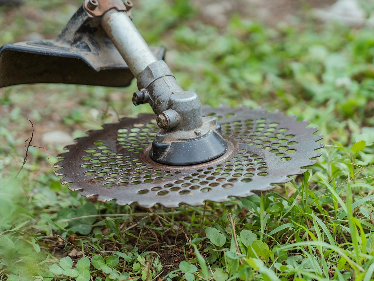 サービス紹介 - 青木造園