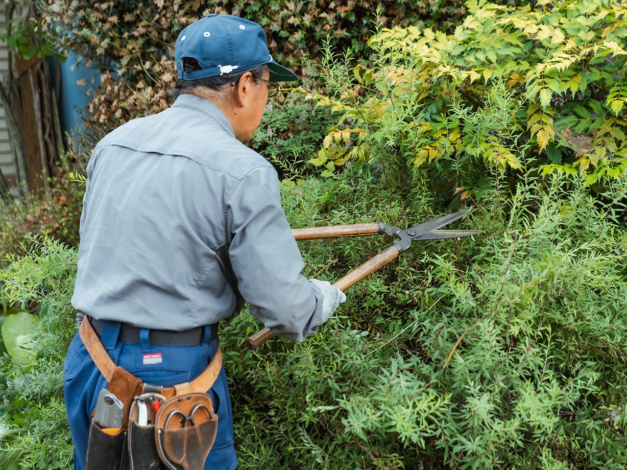 サービス紹介 - 青木造園
