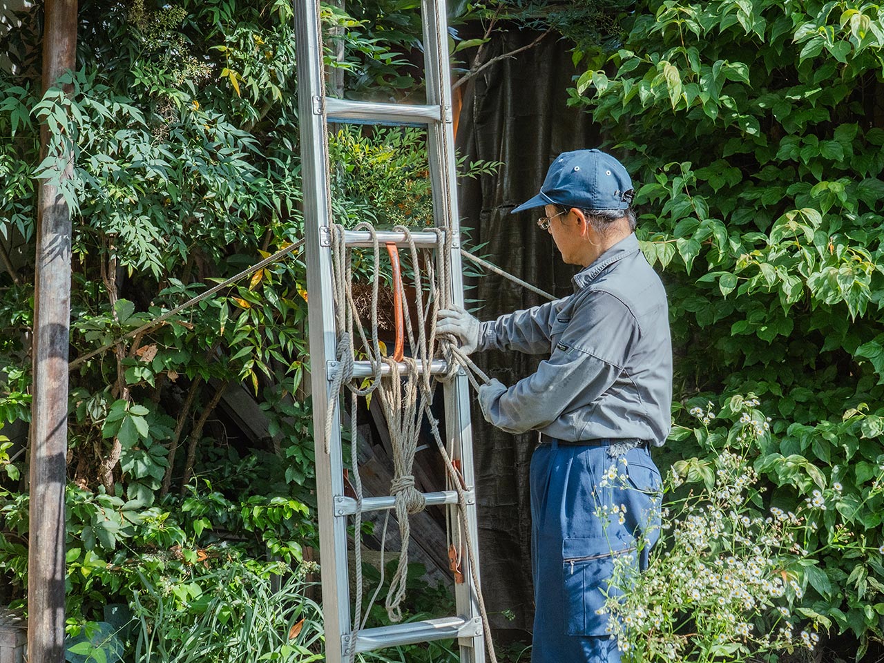 サービス紹介 - 青木造園