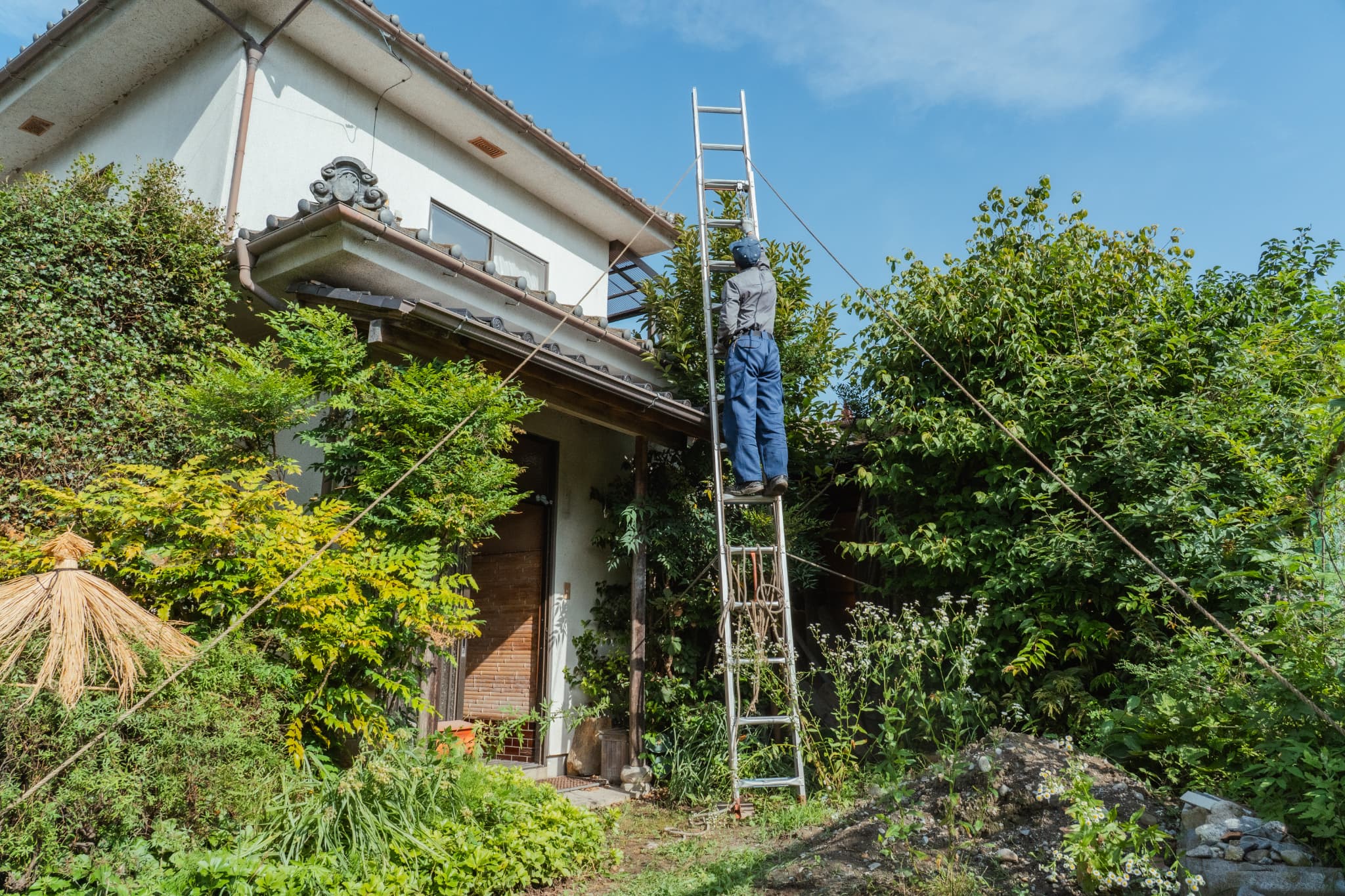 会社概要 - 青木造園