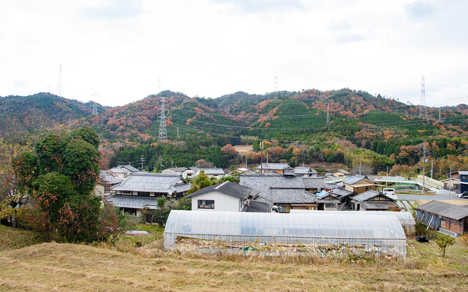 境内の四季 - 宗教法人意泉院