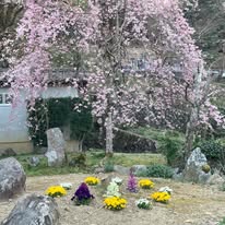 境内の四季 - 宗教法人意泉院