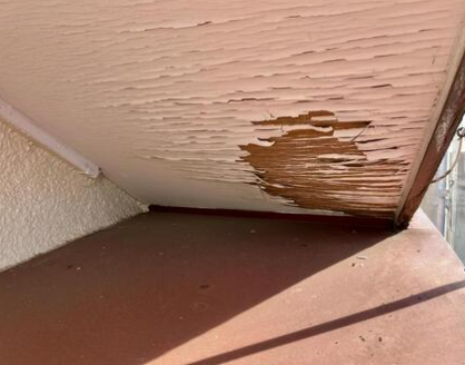 ホームインスペクション - YELL