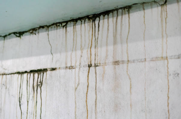 ホームインスペクション - YELL