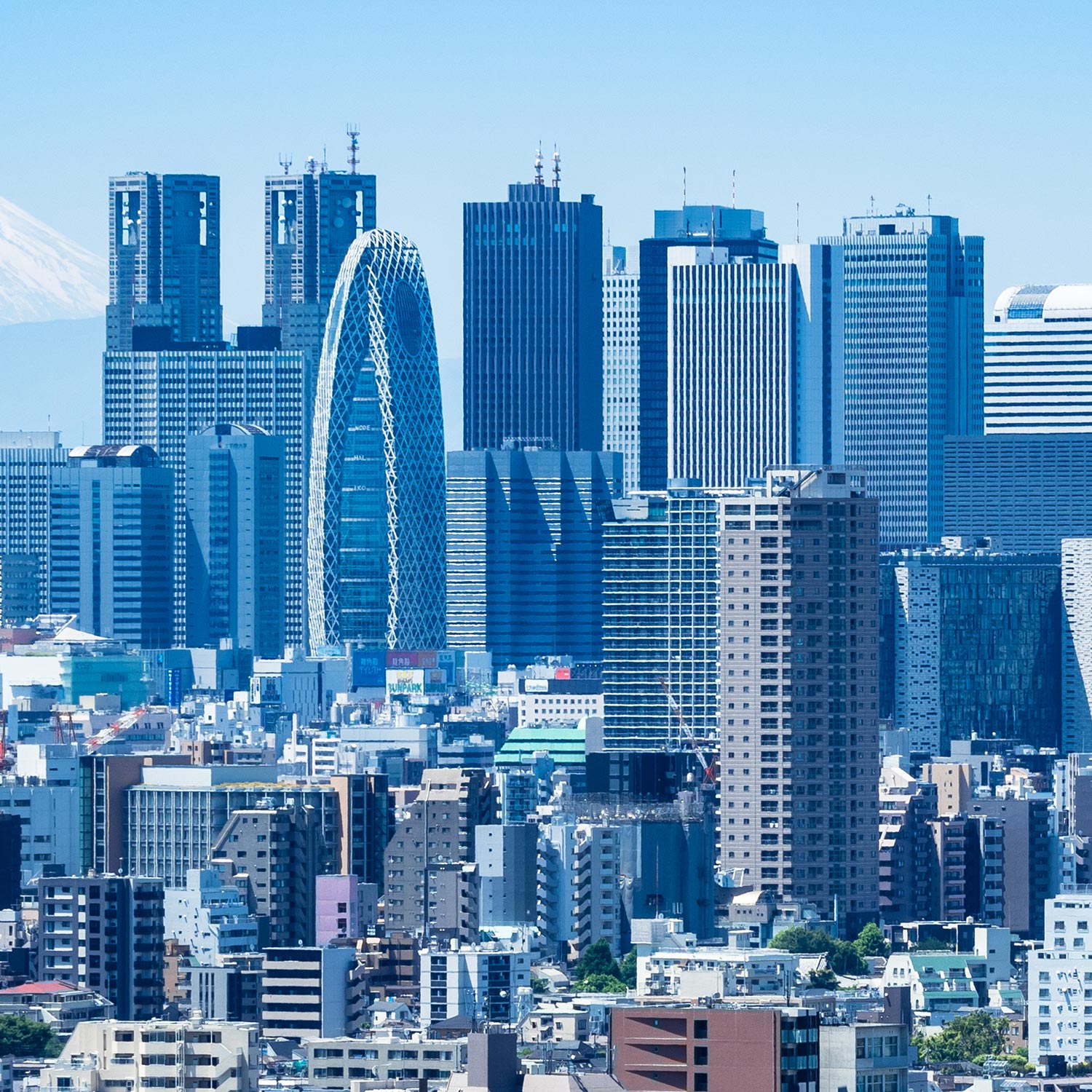 企業向け健康支援サービス - ライフグローヘルスケア