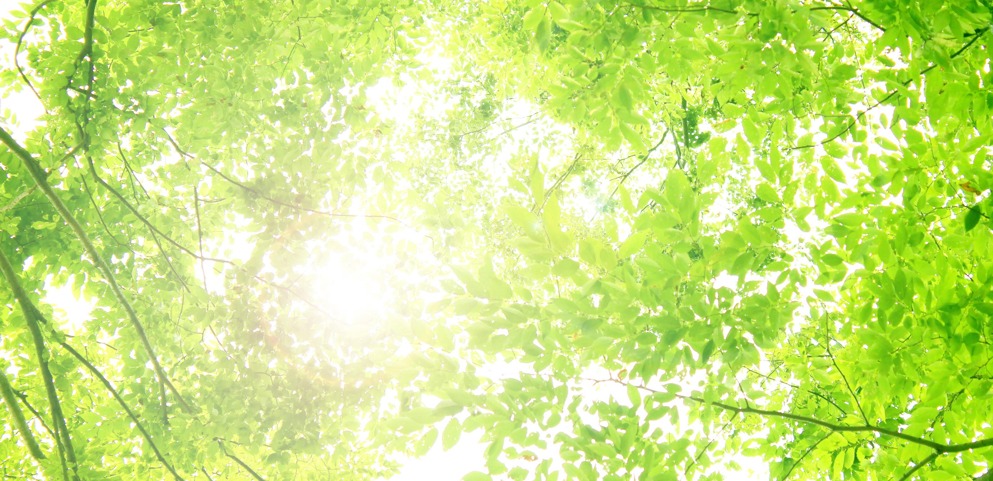 不動産賃貸仲介 - 有限会社藤和ハウス