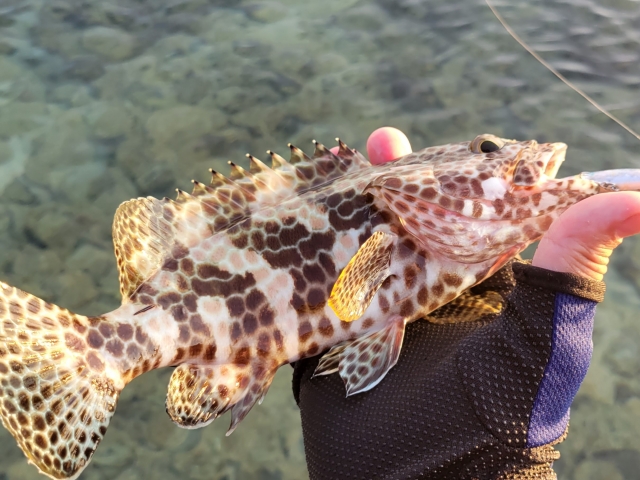 手ぶらで船釣り体験 - 北谷フィッシング