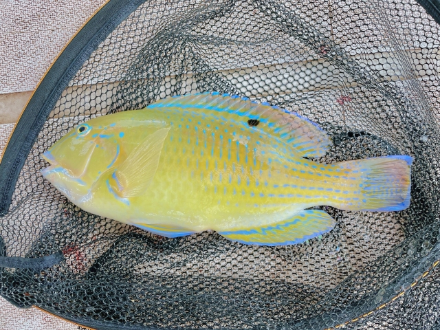 手ぶらで船釣り体験 - 北谷フィッシング