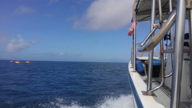 手ぶらで船釣り体験 - 北谷フィッシング