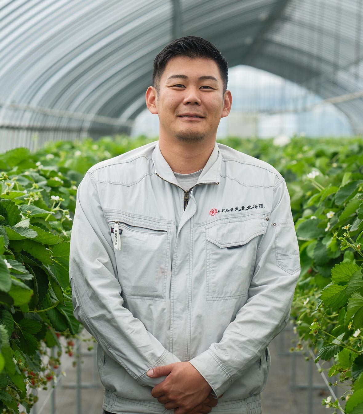 いちご狩り - 株式会社丸北農場
