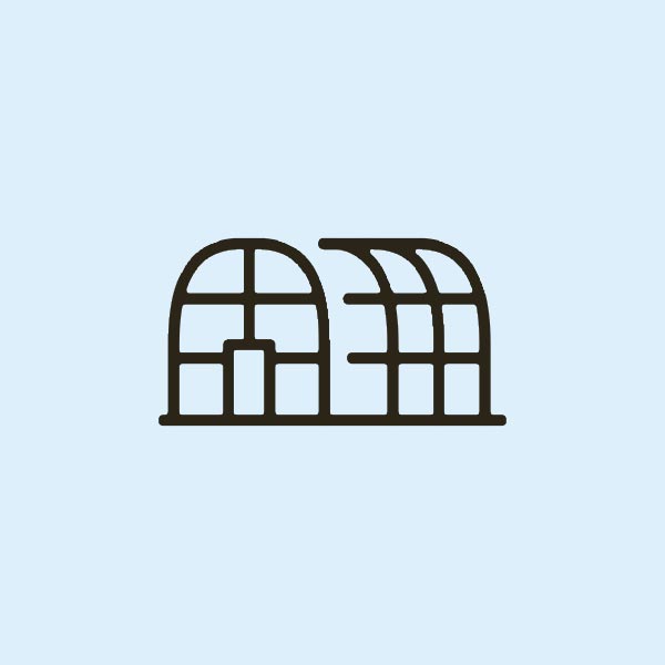 いちご狩り - 株式会社丸北農場