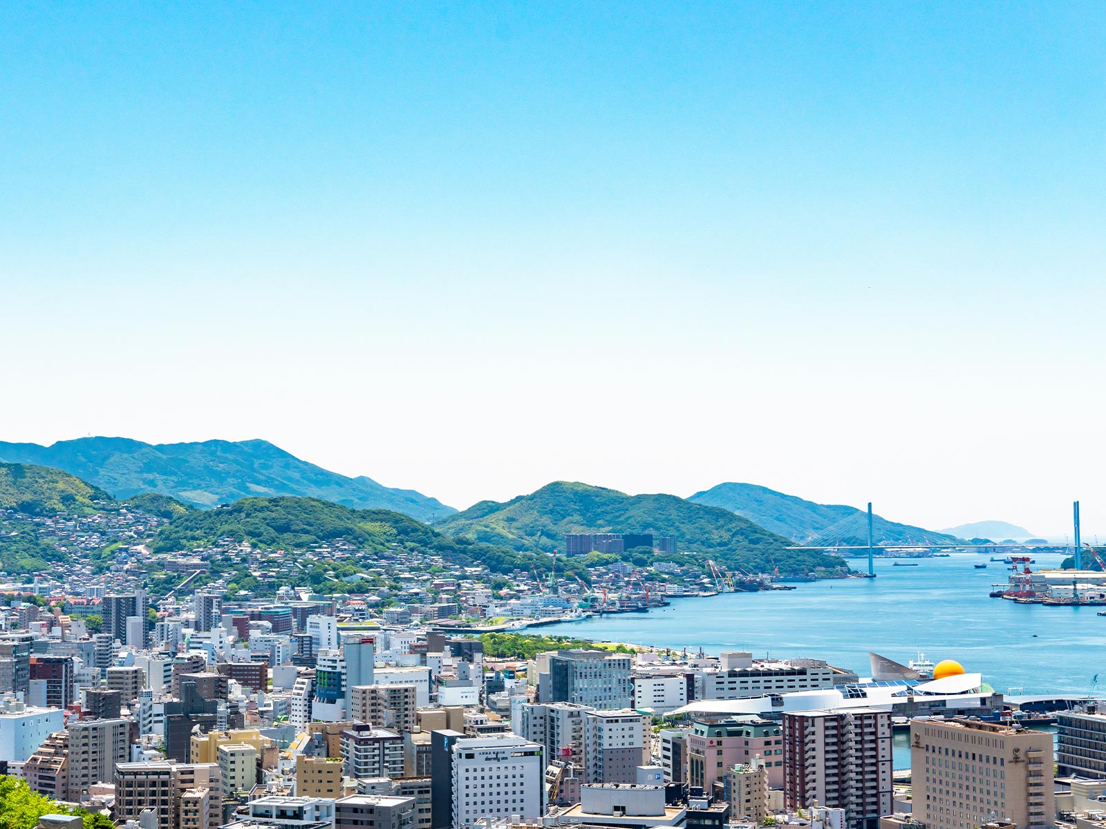 真羽行政書士事務所 - 真羽行政書士事務所