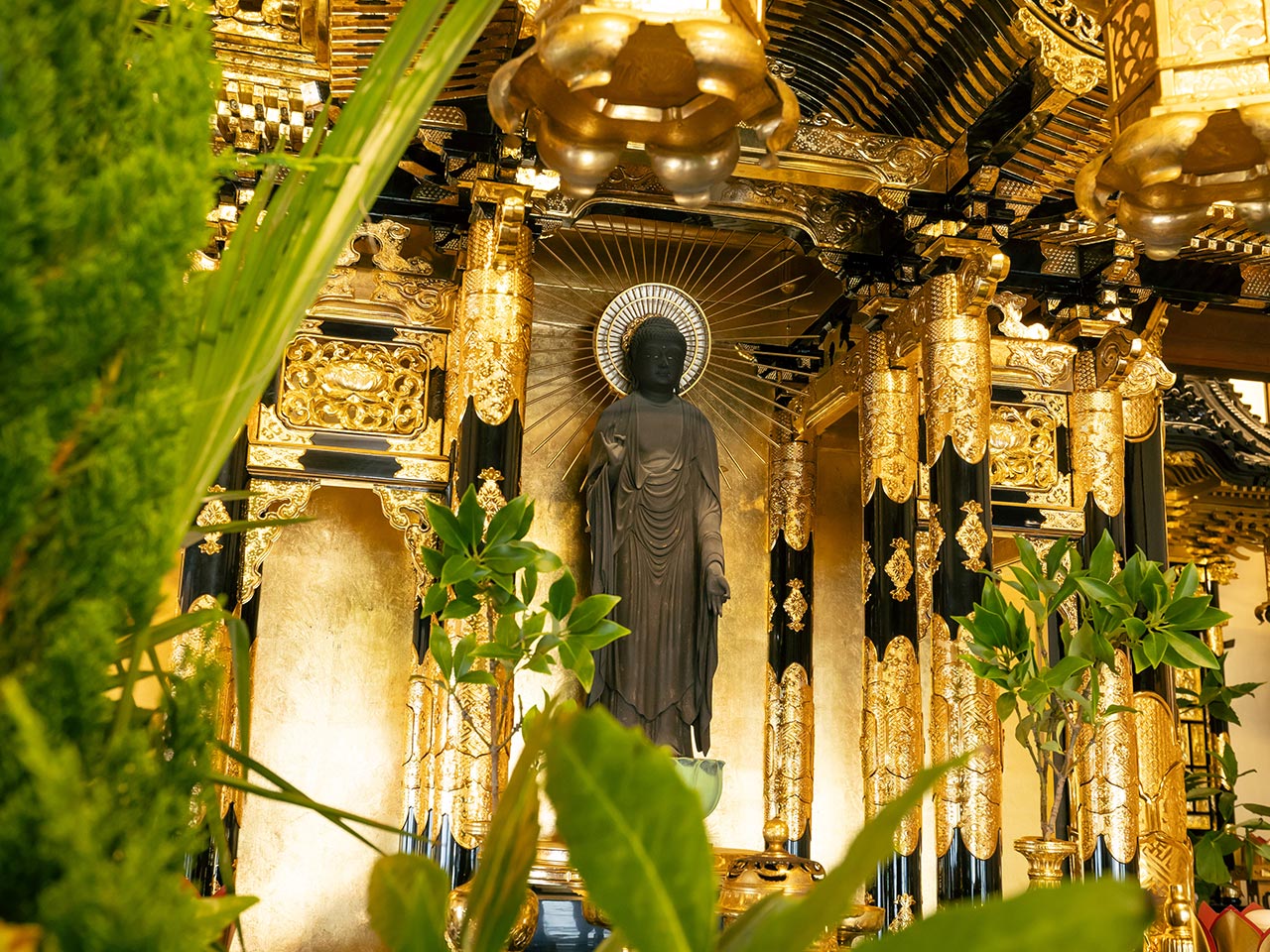 TOP - 宗教法人恩樂寺