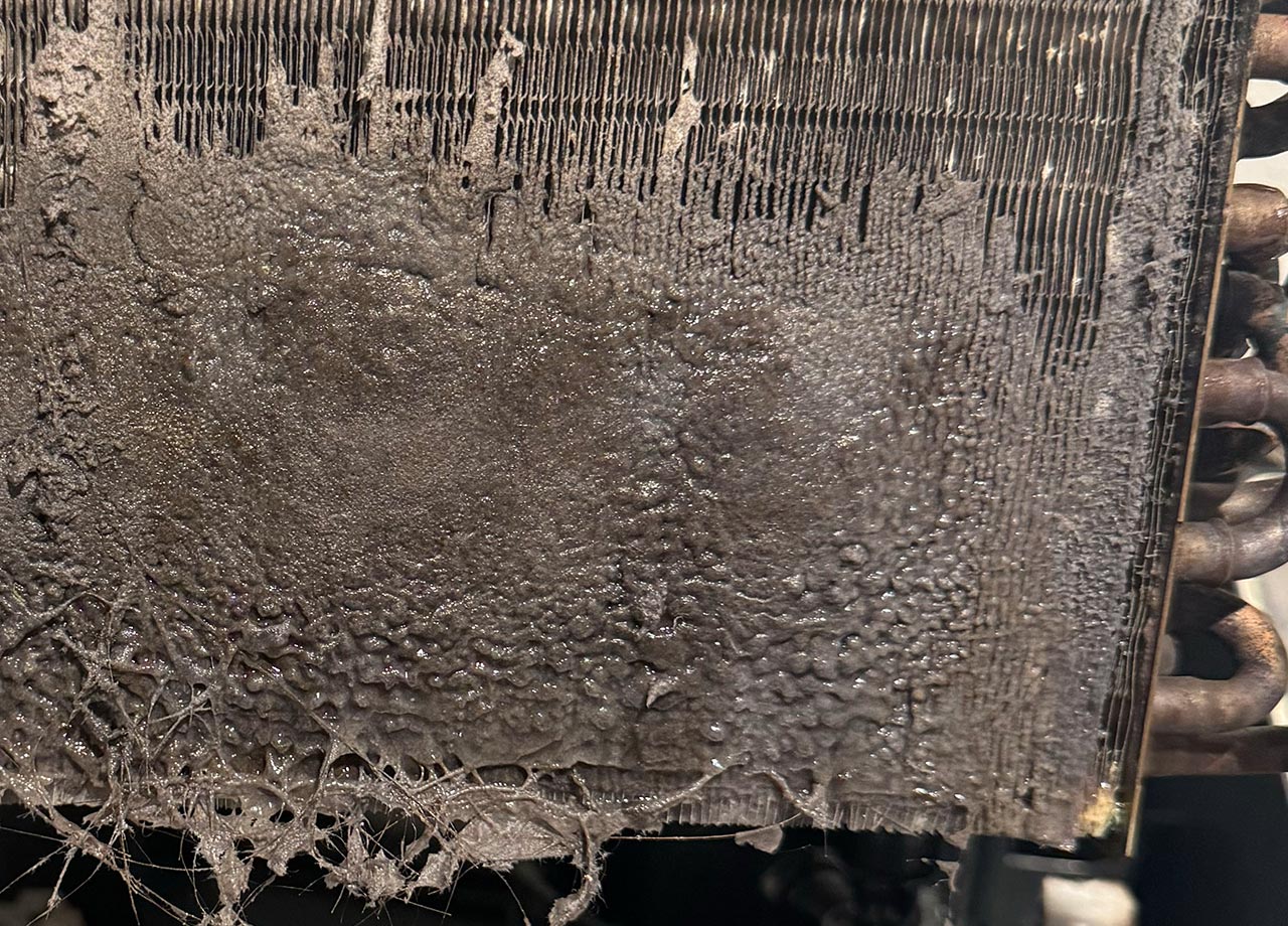 作業事例・お客様の声 - LIFE Assist株式会社