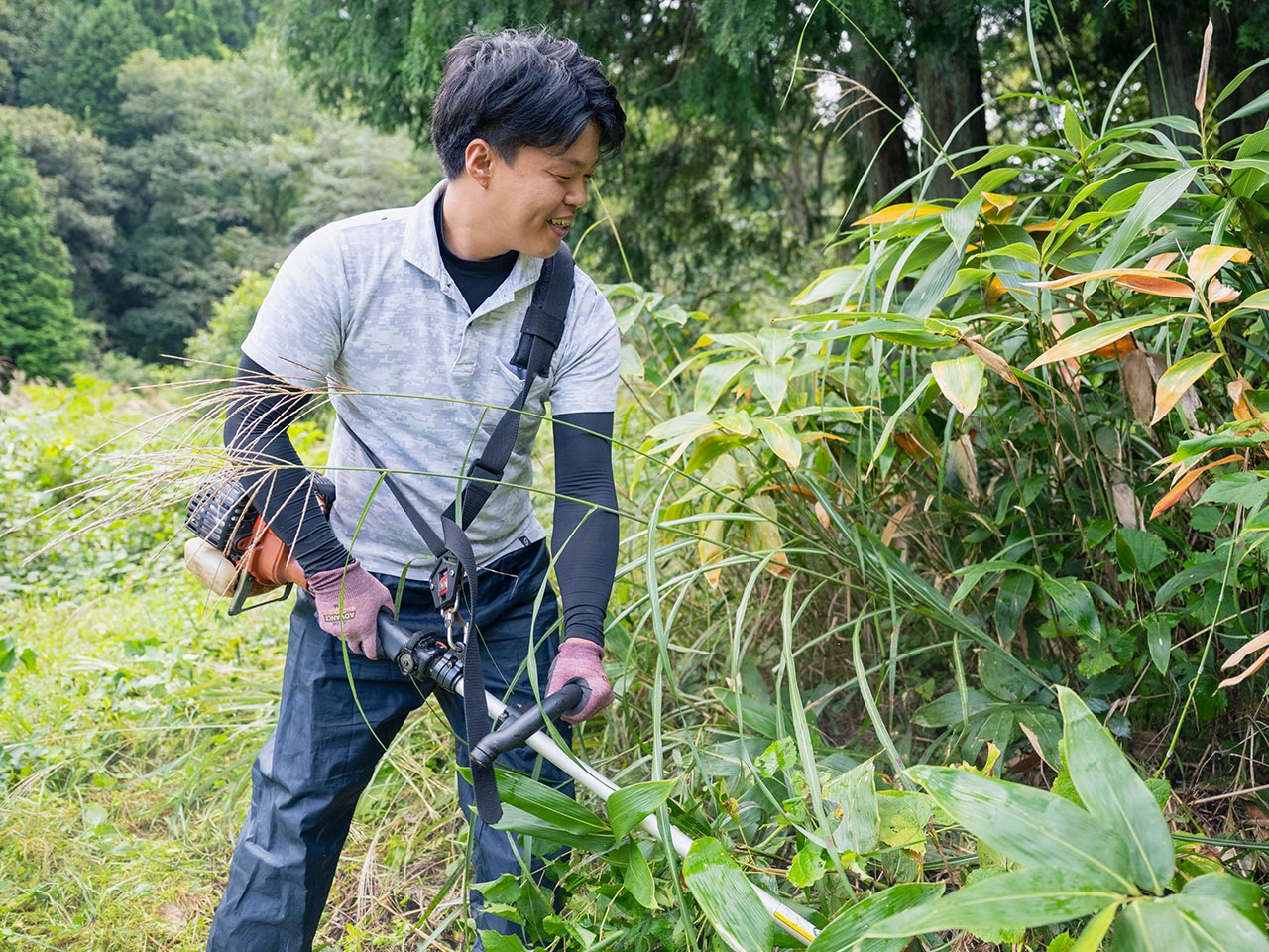 草刈りサービス - (有)ミセス便利屋
