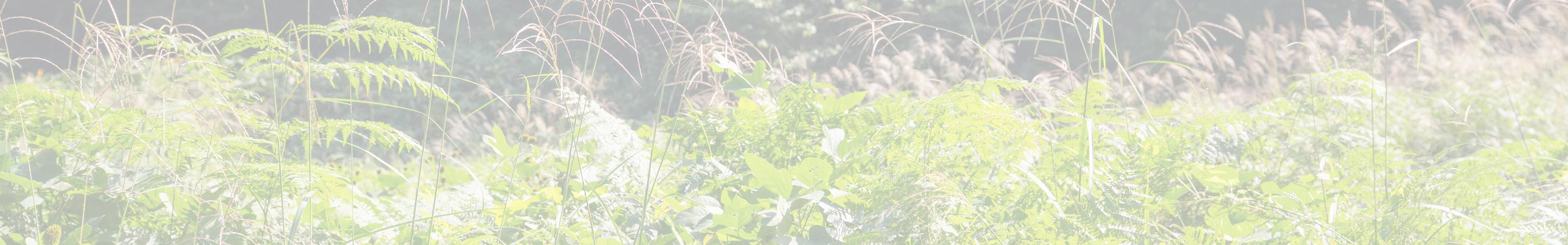 草刈りサービス - (有)ミセス便利屋