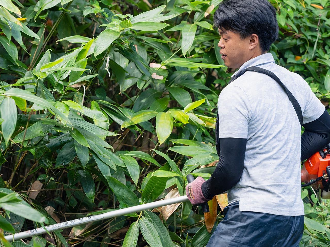 草刈りサービス - (有)ミセス便利屋