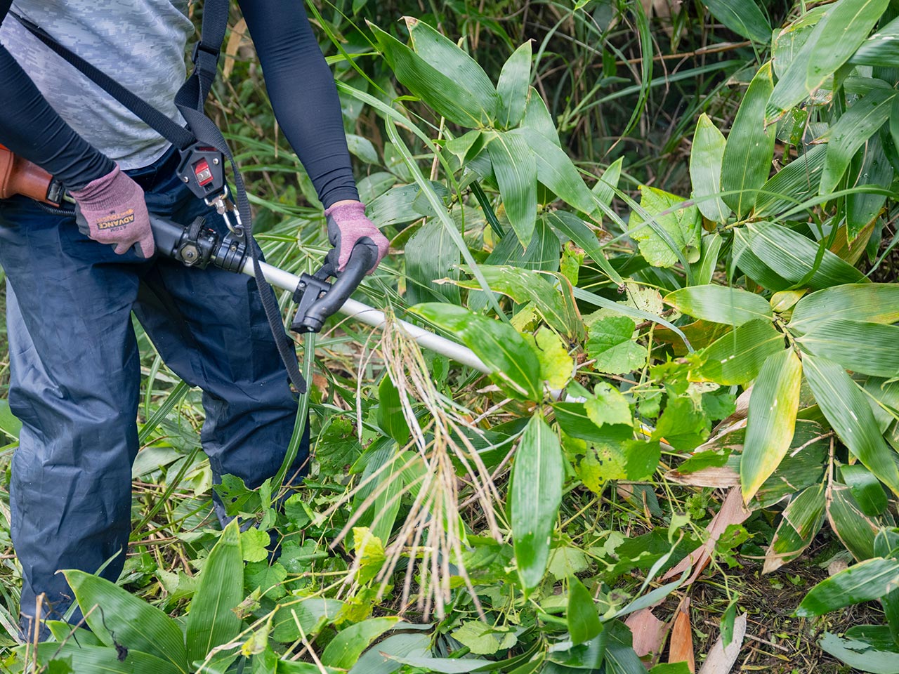 ミセス便利屋のお手伝い - (有)ミセス便利屋