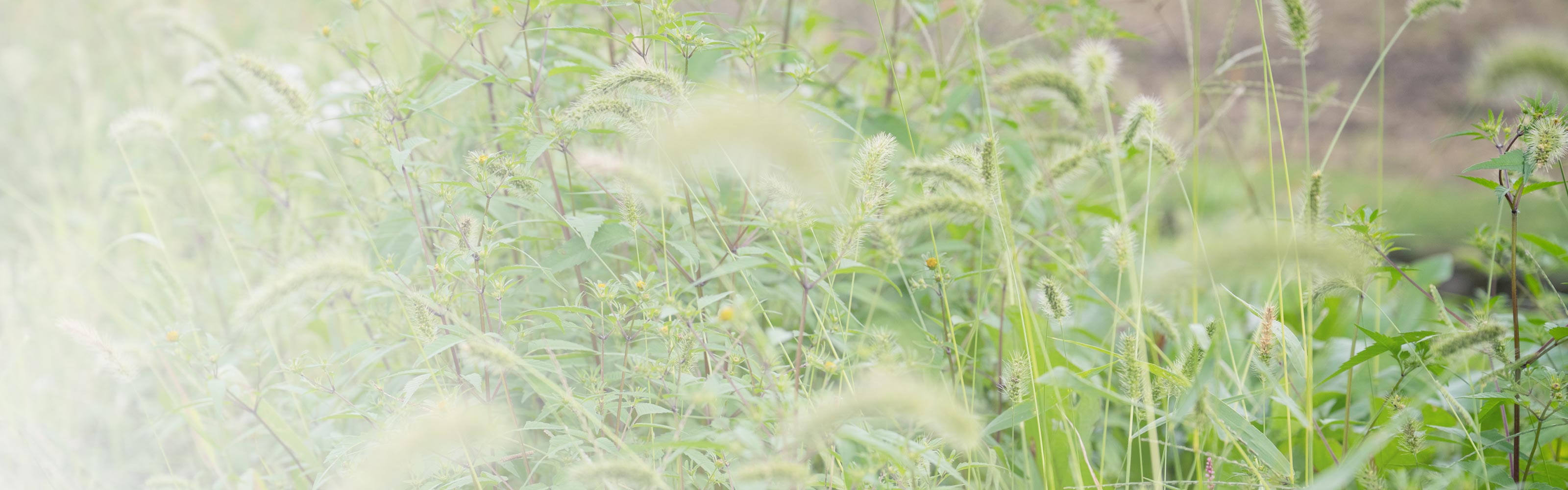 ご利用案内 - (有)ミセス便利屋