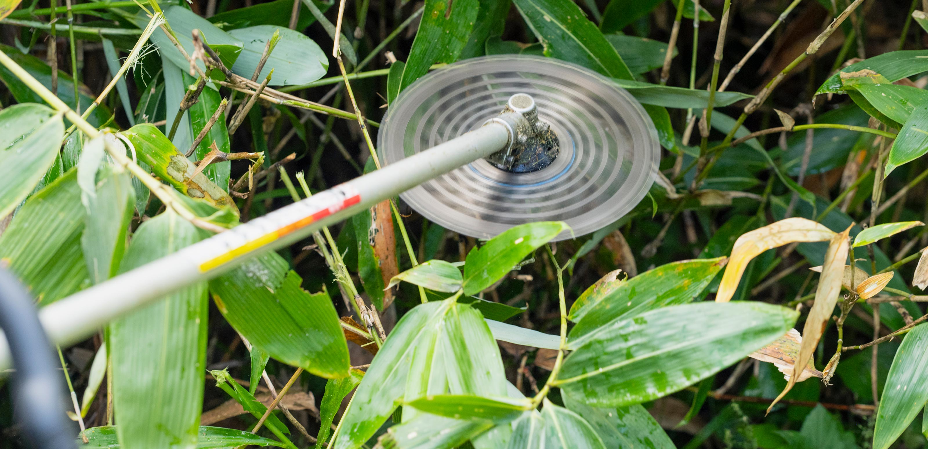 TOP - (有)ミセス便利屋