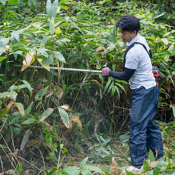 ミセス便利屋のお手伝い - (有)ミセス便利屋
