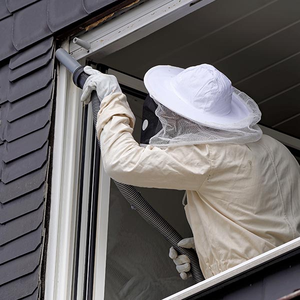 ミセス便利屋のお手伝い - (有)ミセス便利屋
