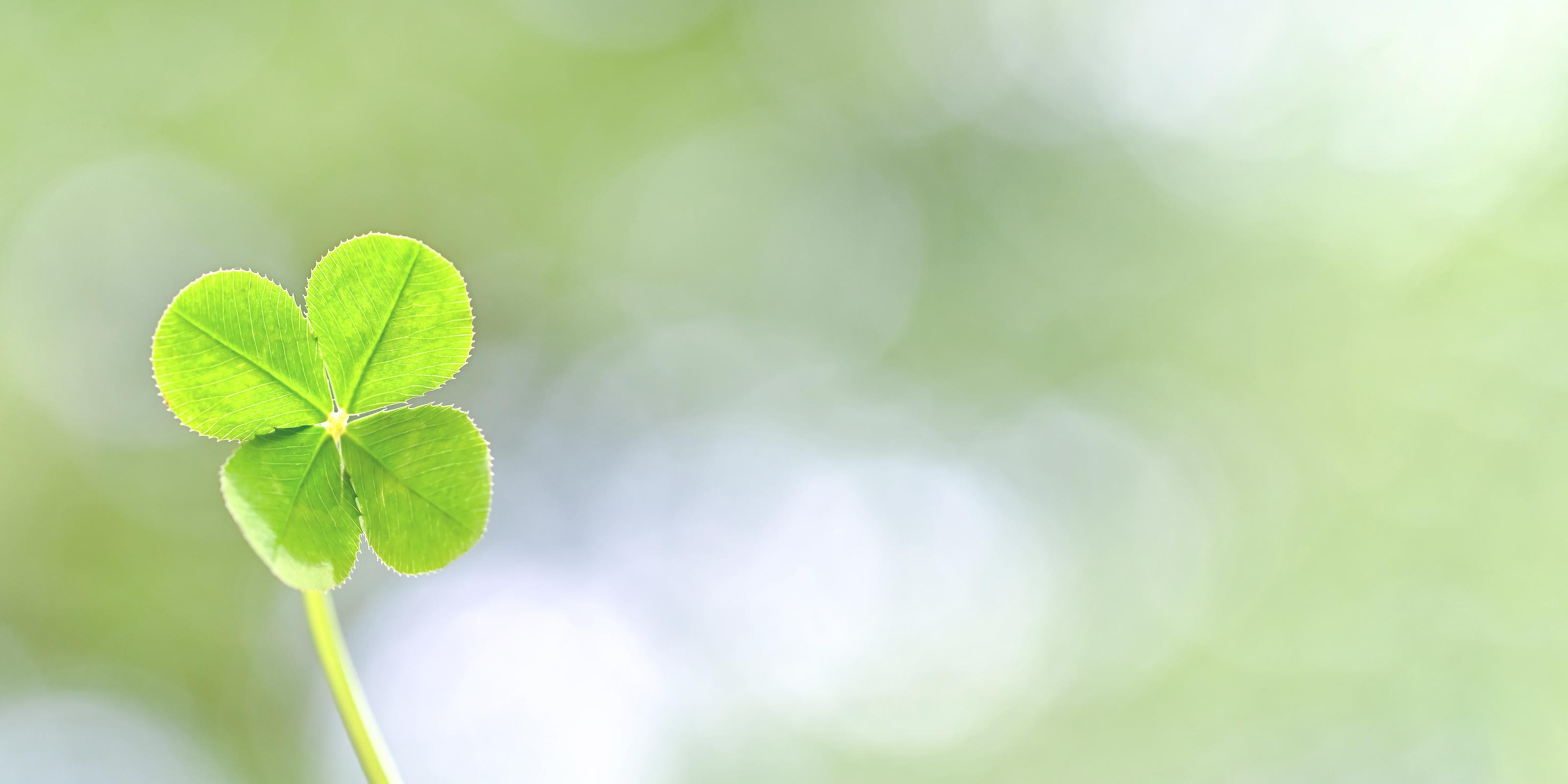 結婚相談所 - Wellbeingハピマリ