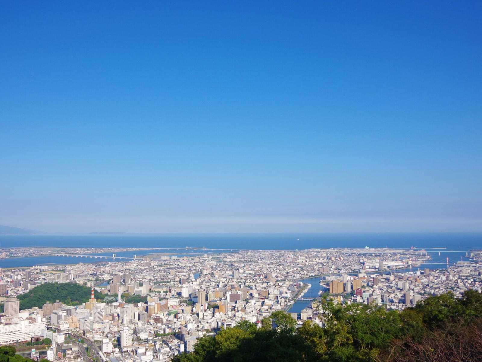 結婚相談所 - Wellbeingハピマリ