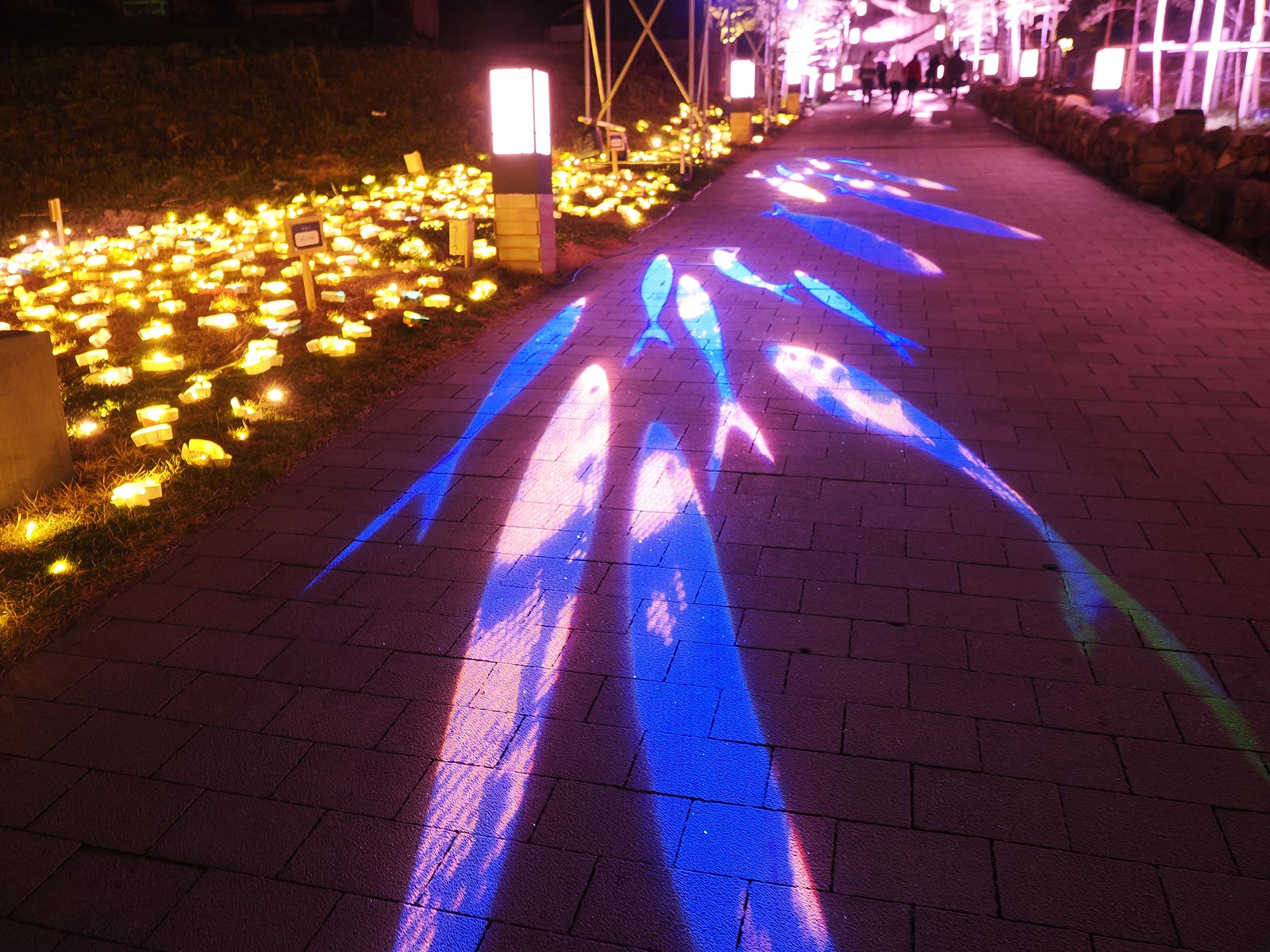 映像制作 - 株式会社イメージアンプ