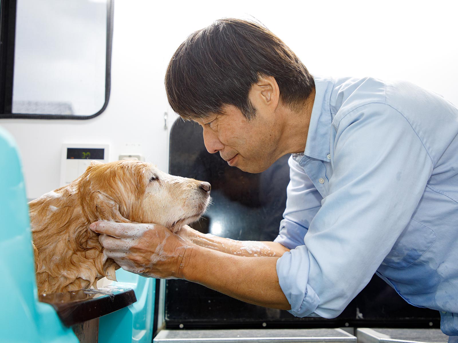 シャンプー・シッター - 犬アル
