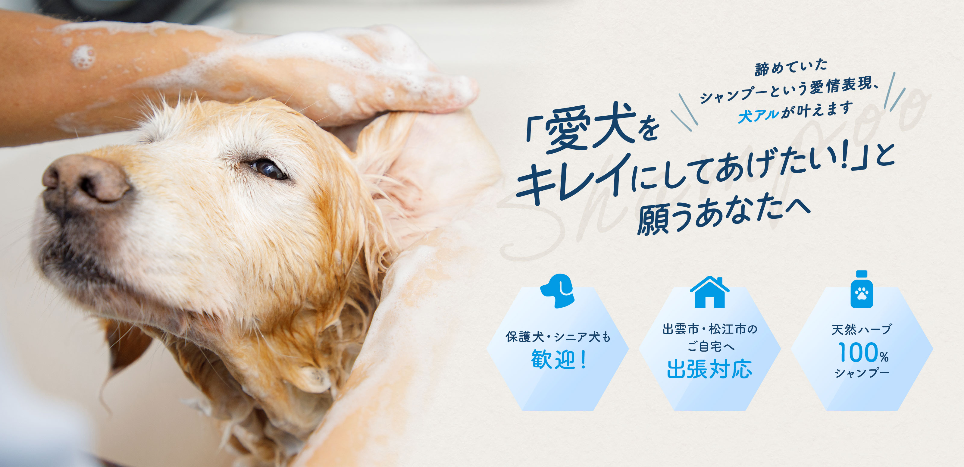シャンプー・シッター - 犬アル