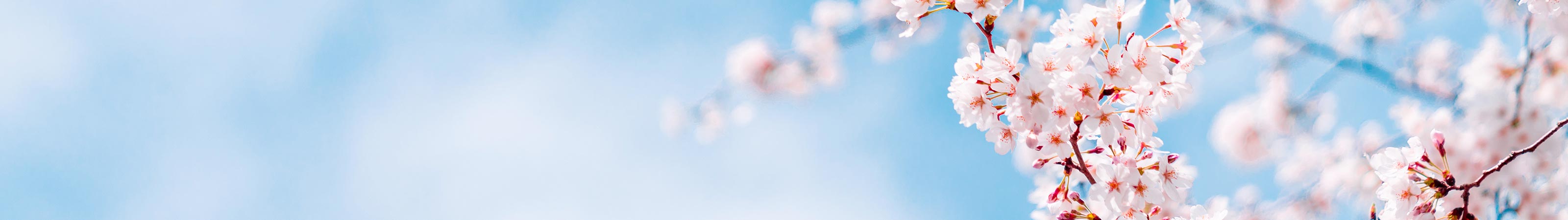 年間行事・活動 - 宝幢院